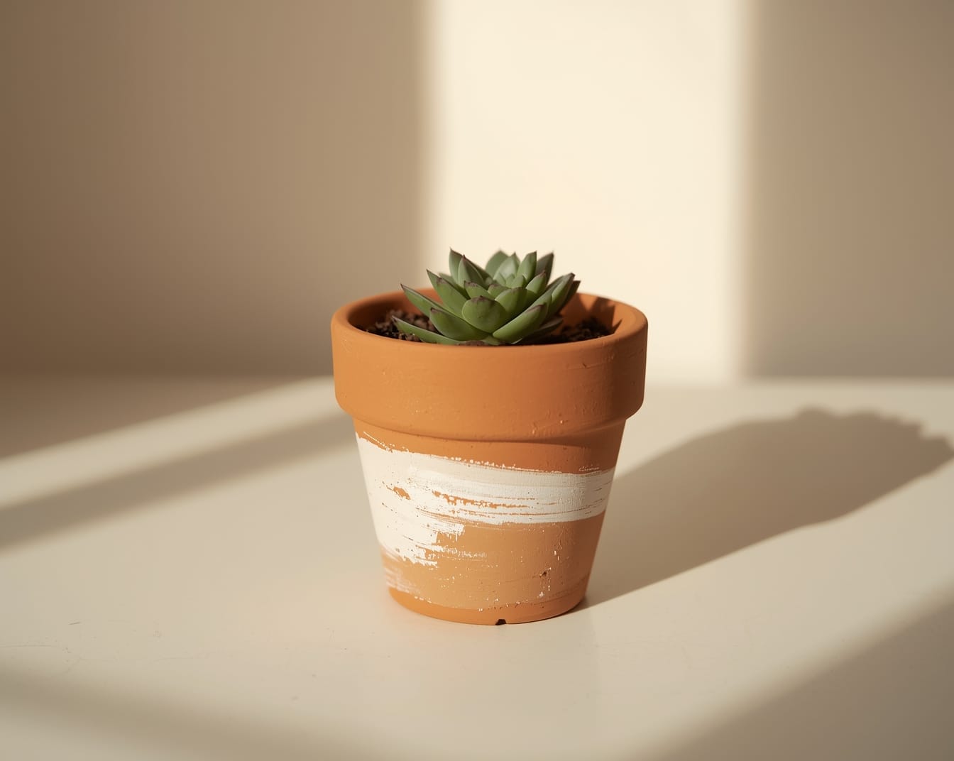 A small terracotta pot painted with a simple white toddler-style brush stroke, holding a green succulent in warm afternoon light. Clean, modern handmade gift.