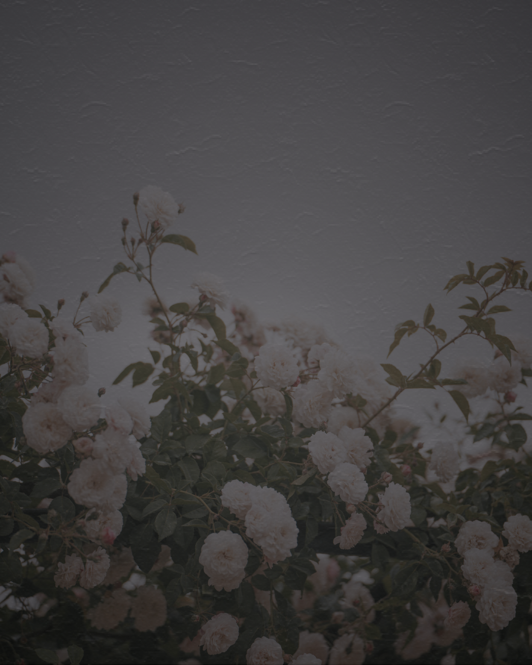 Motherboard HQ | Practical Tools for Neurodivergent Moms